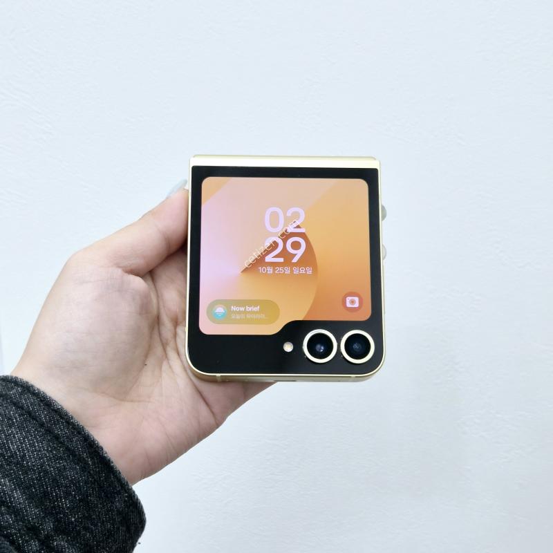 갤럭시Z플립6 256GB 옐로우