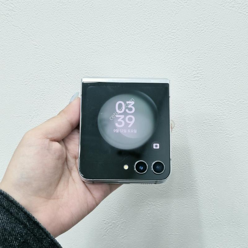 갤럭시Z플립5 민트 256GB