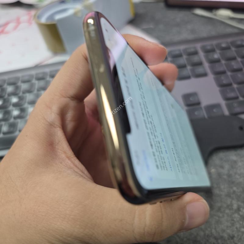 (1004)xs맥스 256