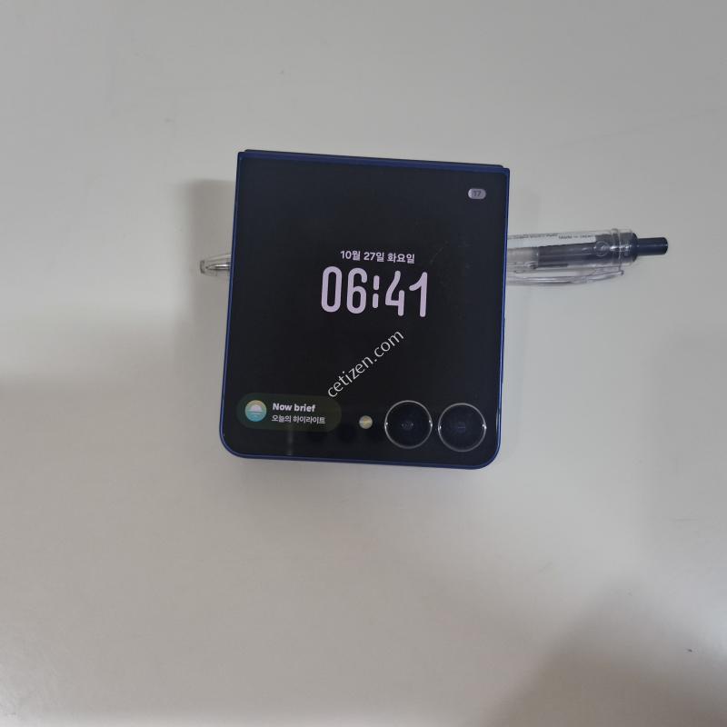정상해지 실사용10개월 플립7블루512GB 무잔상